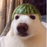 Yo.BoiDylan profil fotoğrafı