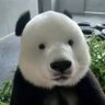 Cerwhy's profile picture