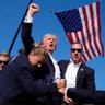 MAGA Hawk 的头像