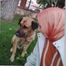Elif Özce's profile picture