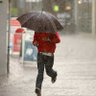 Rain Man 的头像