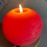北極狐's profile picture