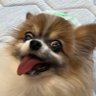 わーるはいとს profil fotoğrafı