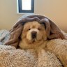 り お profil fotoğrafı