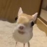 Profilbild von evanram0