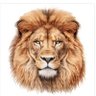 Truth Seeker-Speaker's profile picture