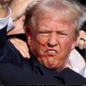 NY.Mike1975's profile picture