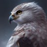 hani profil fotoğrafı