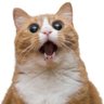 Deez's profile picture