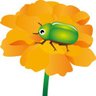 Profilbild von 菜の花に泊まるカナブン