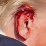 laorejadetrump profil fotoğrafı
