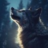 Profilbild von TÜRK 𐱅𐰇𐰼𐰰🐺🇹🇷