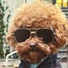 Profilbild von MistahMac