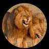 Houphouet$The_King profil fotoğrafı