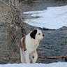 Tom-Idaho profil fotoğrafı