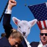 Фото профиля Comrade Lamb