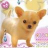 ゆぴ's profile picture
