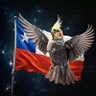 Felipe Toledo Muñoz 🇨🇱 profil fotoğrafı