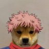 Profilbild von Haatched