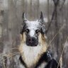 Static's profile picture