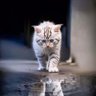 Фото профиля raed90