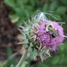 Youburybonesbutalsoseeds profil fotoğrafı