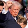 Long Live Trump's profile picture