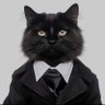 Фото профиля Gato Preto 75