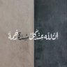 Amal Hamed 的头像