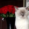 gündüz's profile picture