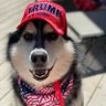 Фото профиля Debra Milam 🇺🇲 America First