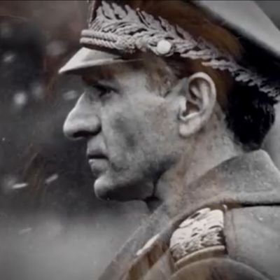 داریوش ایرانی's profile picture