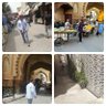 Atif-Qazi-Sho-Jan's profile picture