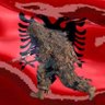Фото профиля 🇦🇱AlboGod Haram🇦🇱