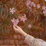 Фото профиля 🍁Z FATIMA زینب فاطمہ 🍁
