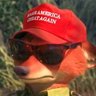 🇺🇸 DRILL BABY DRILL!!! 🇺🇸's profile picture
