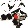kgd's profile picture