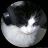 Jonathan ¤'s profile picture