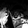 Morbius08 的头像