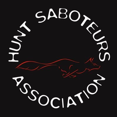 HuntSabs's profile picture