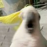 くりかえし 的头像