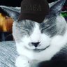 another ginger mechanic's profile picture