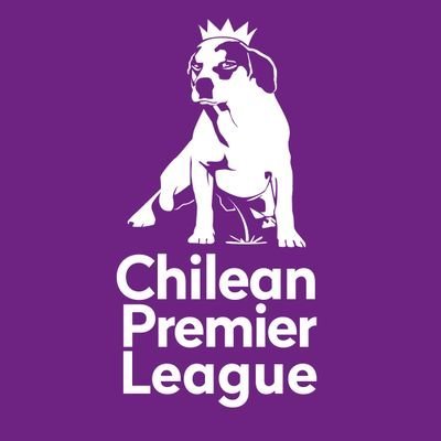 Chilean Premier League's profile picture