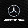 Mercedes-AMG PETRONAS Esports Team 的头像