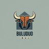 布鲁多-Buluduo-bull's profile picture