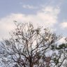 Фото профиля Ankit Yadav