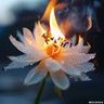 Фото профиля baiyanlali 白炎拉力