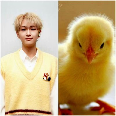 tableflip (ノ-_-)ノ~┻━┻🔥's profile picture