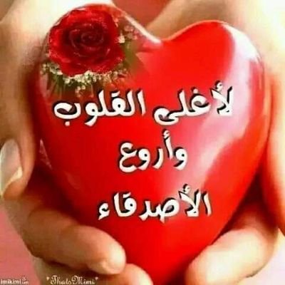 amgd44567's profile picture