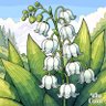 Фото профиля Oma